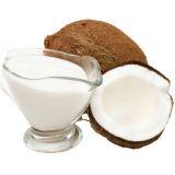 18% Fat Organic Aseptic Coconut Cream