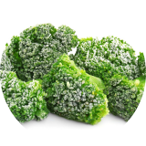 IQF Broccoli Cuts