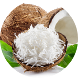 Organic Desiccated Coconut Fine Shred