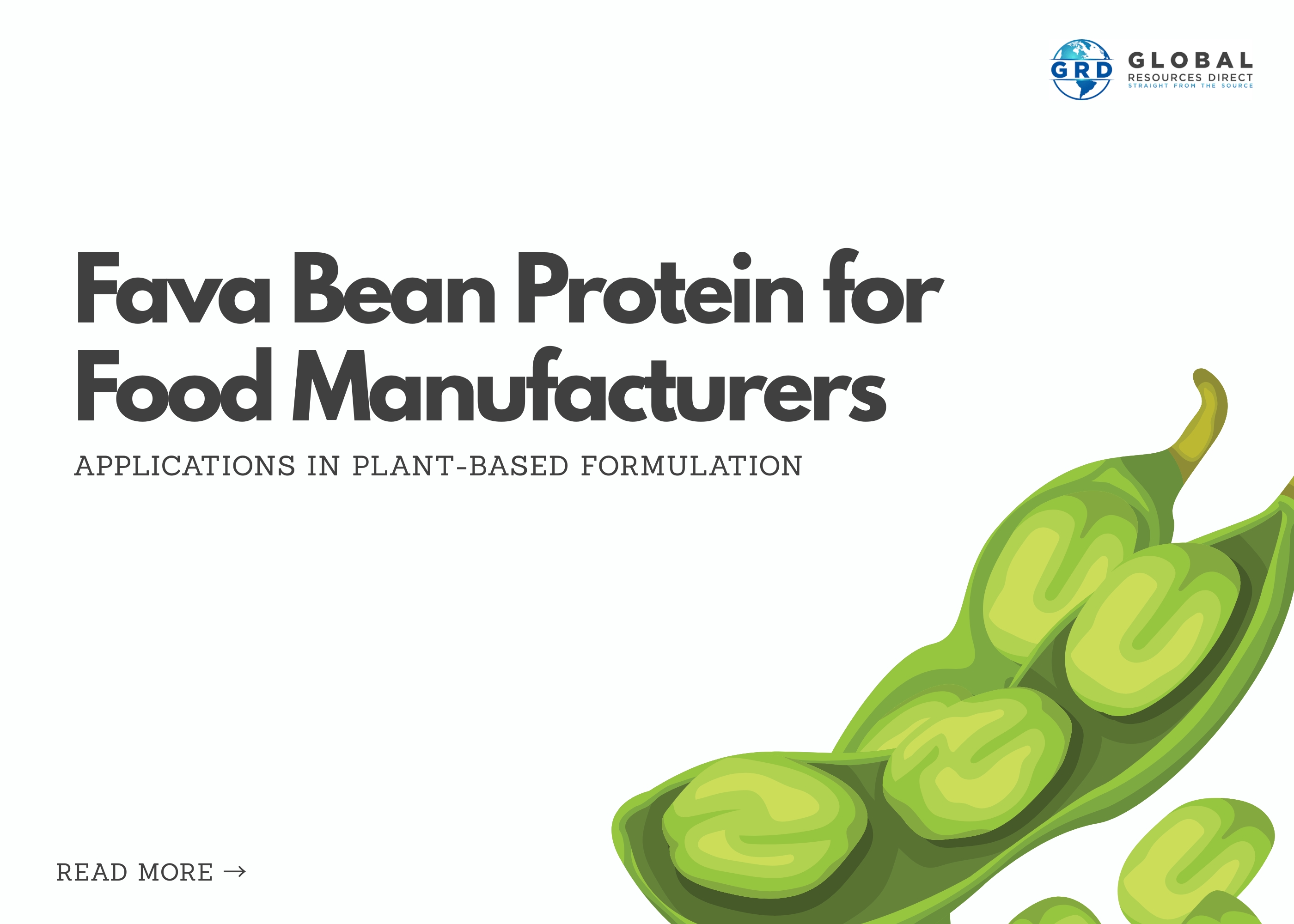 Fava Bean Protein for Food Manufacturers: Applications in Plant-Based Formulation