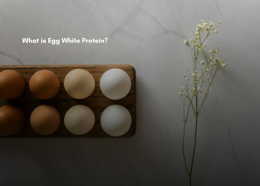 What is Egg White Protein?