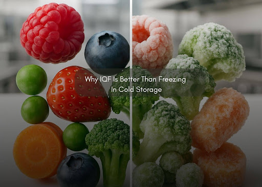 Why IQF Is Better Than Freezing In Cold Storage
